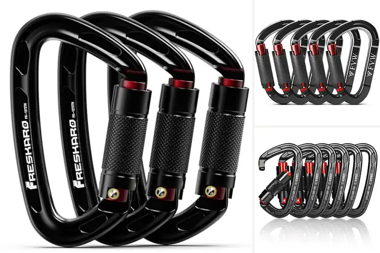 Detailed view of Best Climbing Carabiners