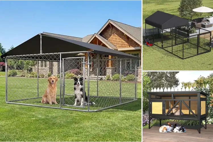 Detailed view of Best Durable Outdoor Cages