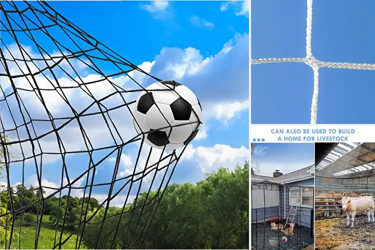 Detailed view of Best Durable Sports Nets