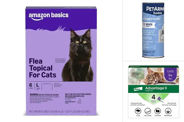 Detailed view of Best Flea Treatments: Top 10 Safe Picks for Pets
