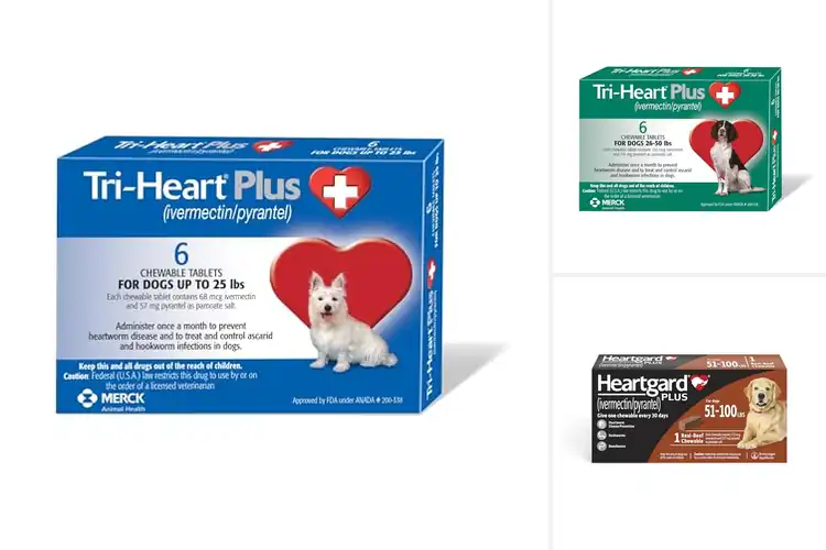 Detailed view of Best Heartworm Medications: Top 10 Dog-Friendly Picks