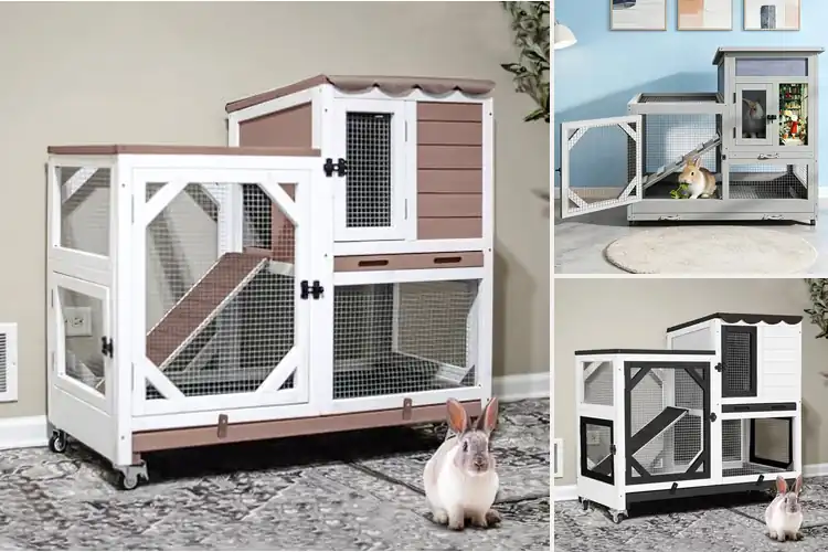 Detailed view of Best Leak-Proof Rabbit Hutches