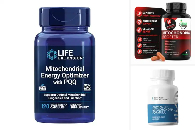 Detailed view of Best Mitochondrial Support Supplements