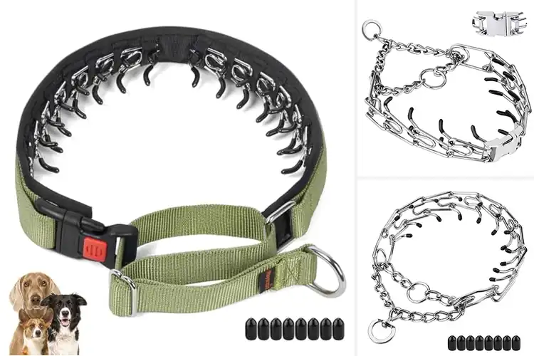 Detailed view of Best No Pull Collars: Train Your Dog with Ease