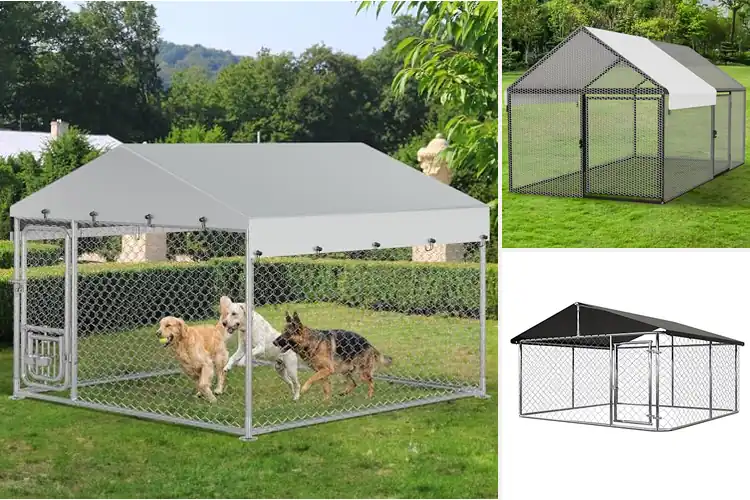 Detailed view of Best Outdoor Cages: 10 Top Picks for Happy, Safe Pets
