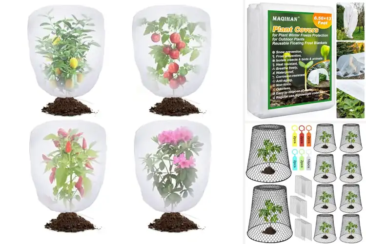 Detailed view of Best Plant Covers: Top 10 Picks for a Thriving Garden
