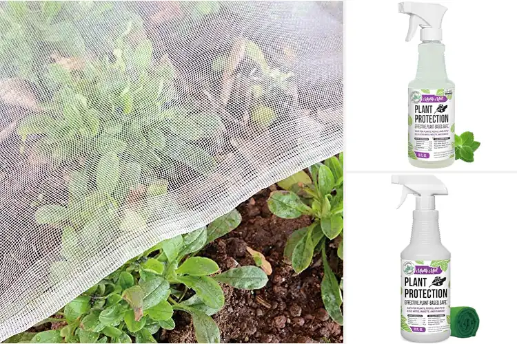 Detailed view of Best Plant Protections