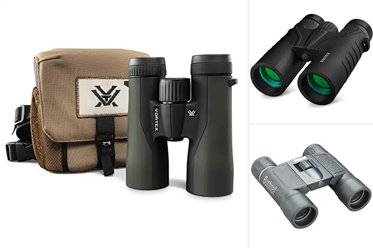 Detailed view of Best Roof Prism Binoculars For Hiking