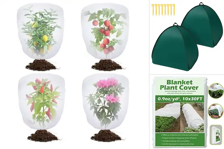 Detailed view of Best Shrub Covers: Top 10 Picks for Healthy Plants