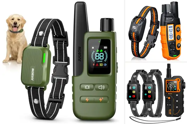 Detailed view of Best Training Collars