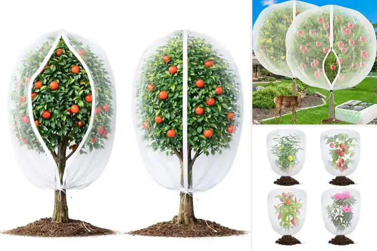 Detailed view of Best Tree Covers: Top 10 Picks for a Thriving Garden