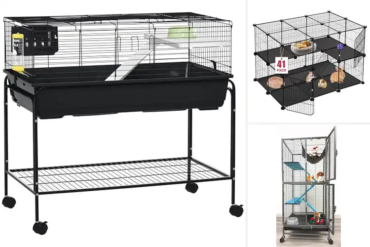 Detailed view of Best Two-Story Small Animal Cages