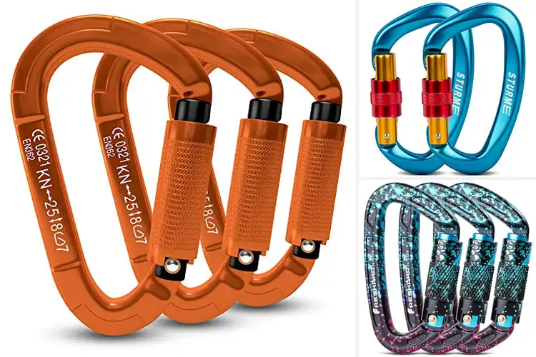 Detailed view of Best UIAA Certified Carabiners