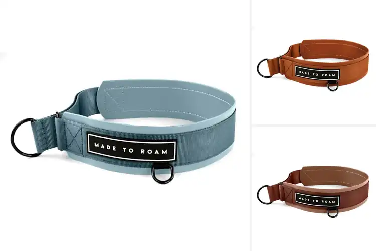 Detailed view of Best Vegan Leather Collars